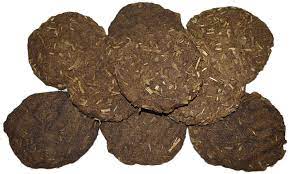 Dried Cow Dung